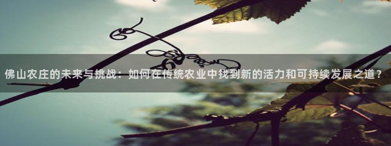 曝光九游会