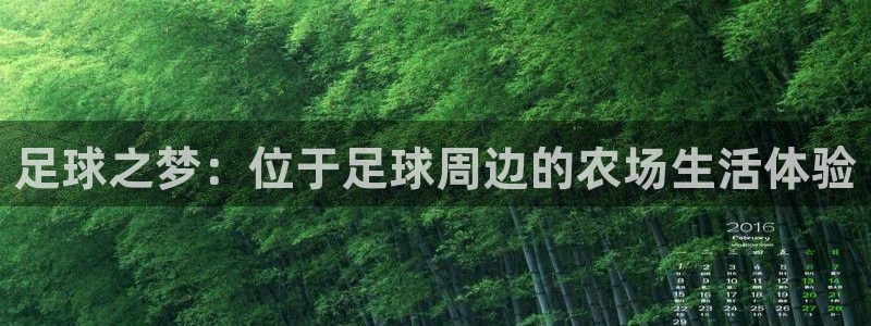 ag九游会官网VIP