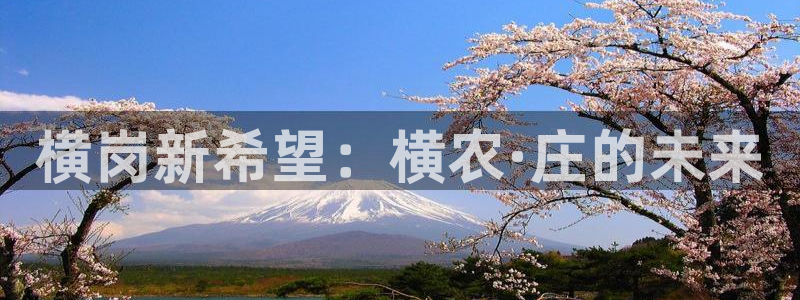 九游会J9登陆入口