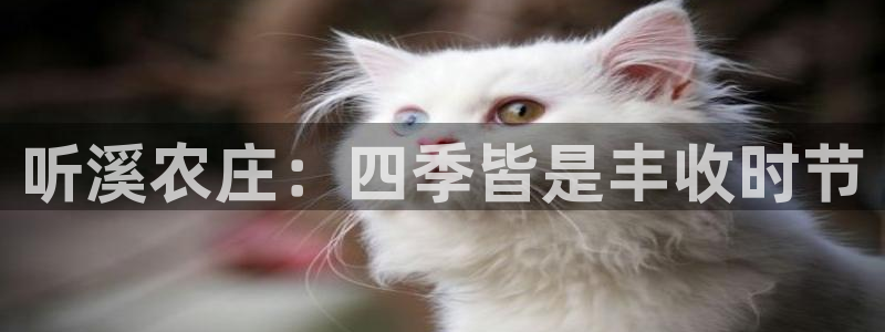 九游会官网在线