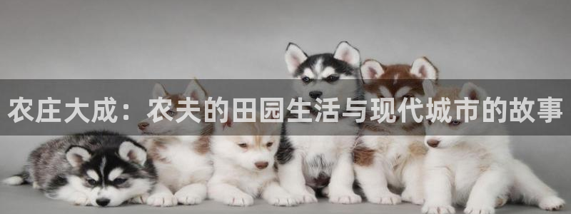九游会游戏官网下载安装