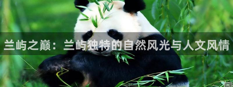 九游会怎么挖矿