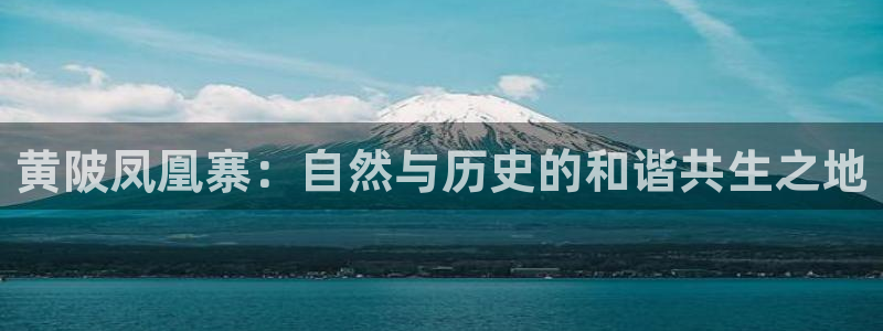 九游会AG网址登录