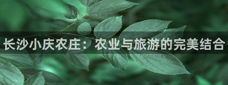 九游会平台聊天