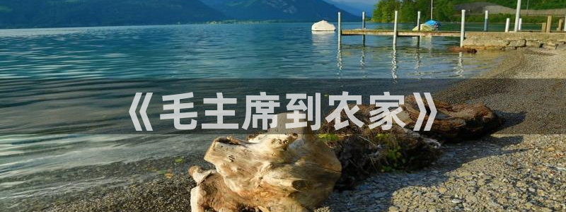 九游会官网登录中心在哪