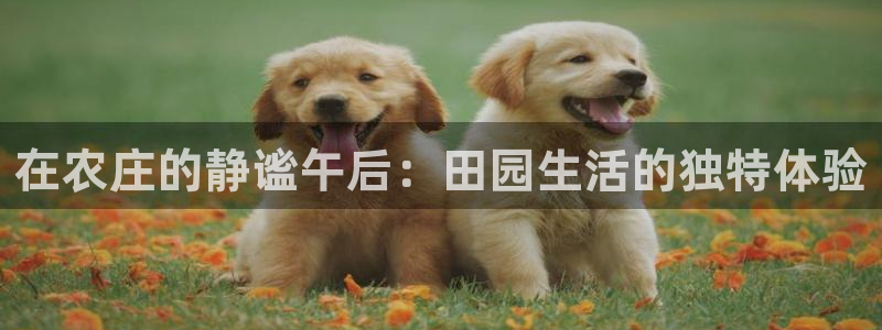 九游会登录分享