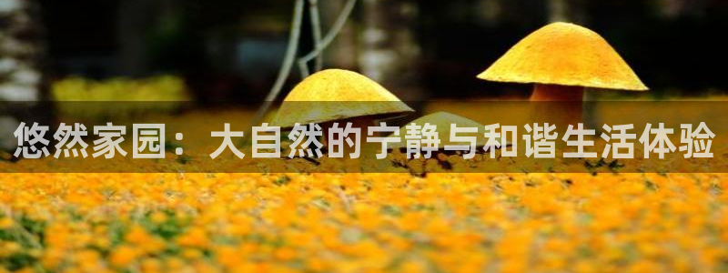 九游会公司介绍