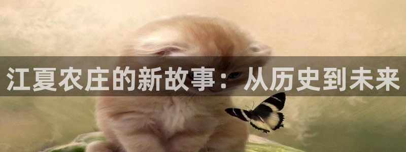 九游会阿里28理财源码