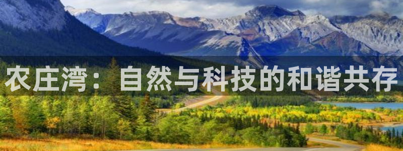 九游会网址平台