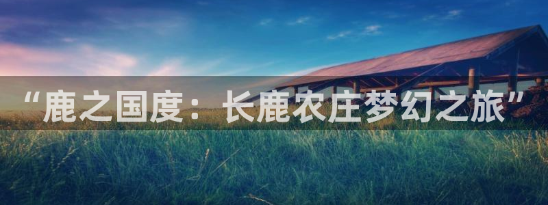 九游会网址登录不上