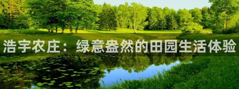 九游会ag正版app