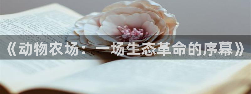 九游会网址多少九