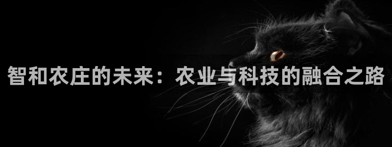 九游会游戏官网下载安装
