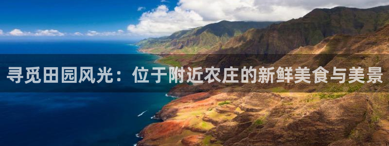 J9九游会真人游戏第一品牌