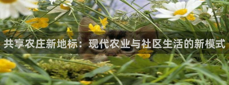 九游会官方登录